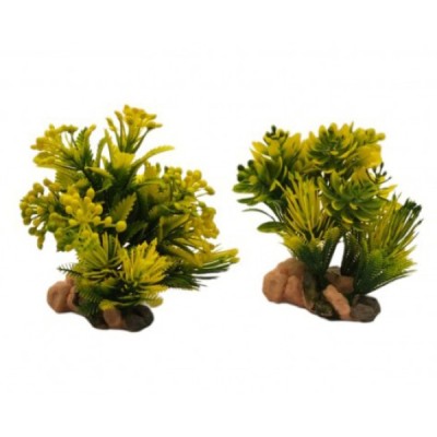 ΔΙΑΚΟΣΜΗΤΙΚΟ ΦΥΤΟ ΕΝΥΔΡΕΙΟΥ ΣΕ 2 ΣΧΕΔΙΑ 13Χ7.5CM